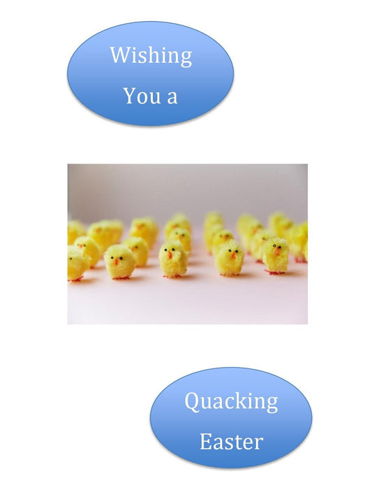Easter chicks - Easter Card